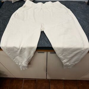 Free People June Bug Jogger Cream Sweatpants - Cozy Elastic Waist Size S